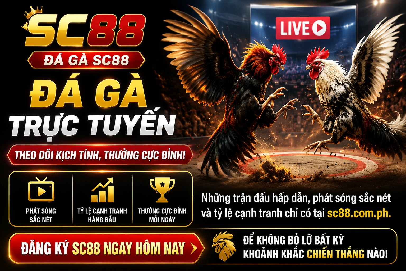 SC88 homepage and statistics preview