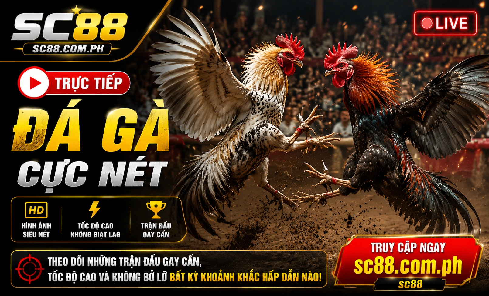 SC88 Đá Gà live