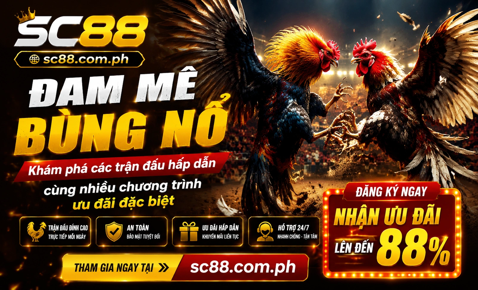 Sân Đêm Rộn